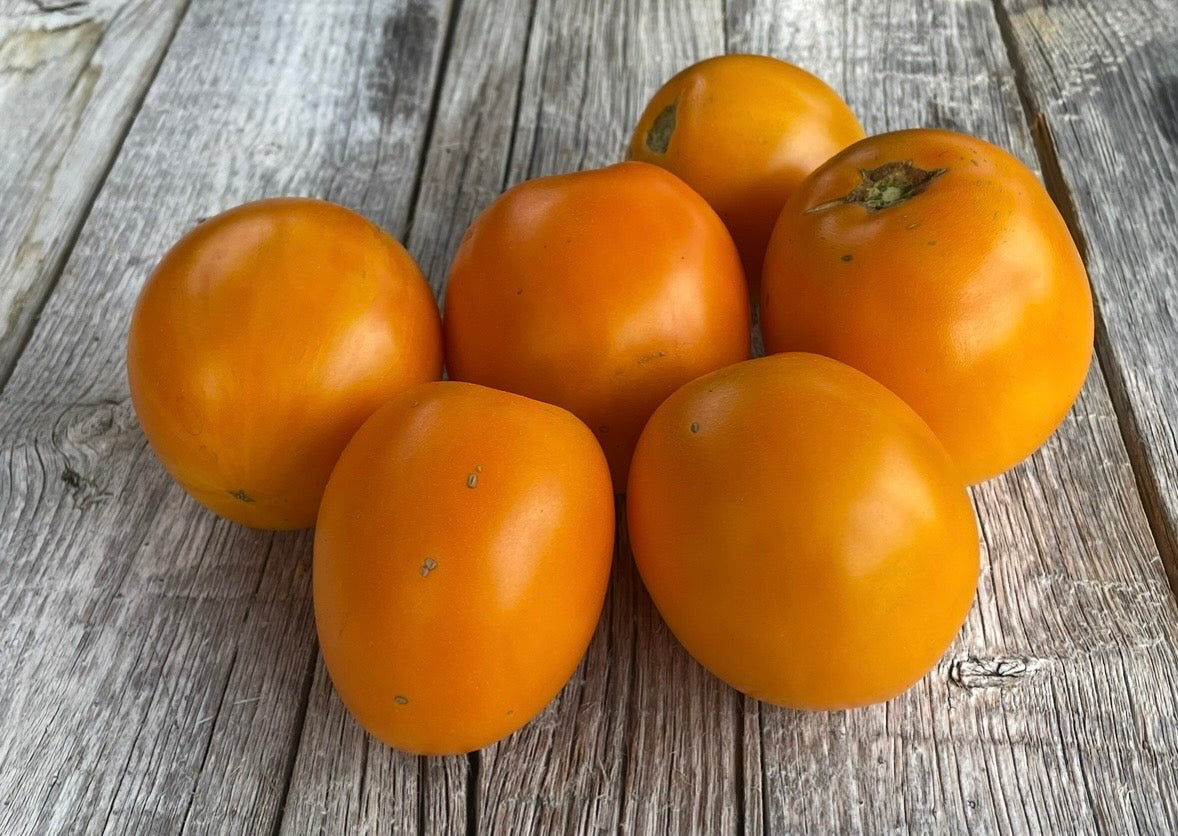 Moonglow Tomato