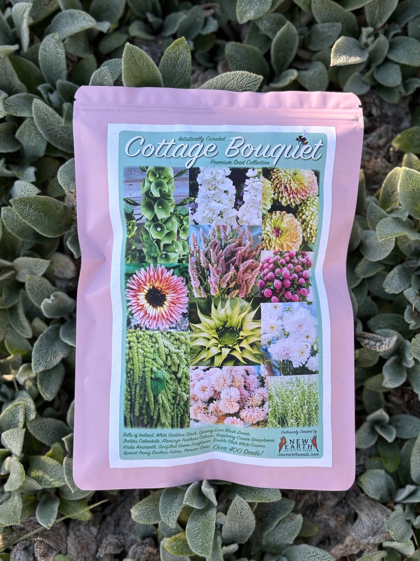 Cottage Bouquet Flower Seed Collection | Mother's Day Seed Gift Pack