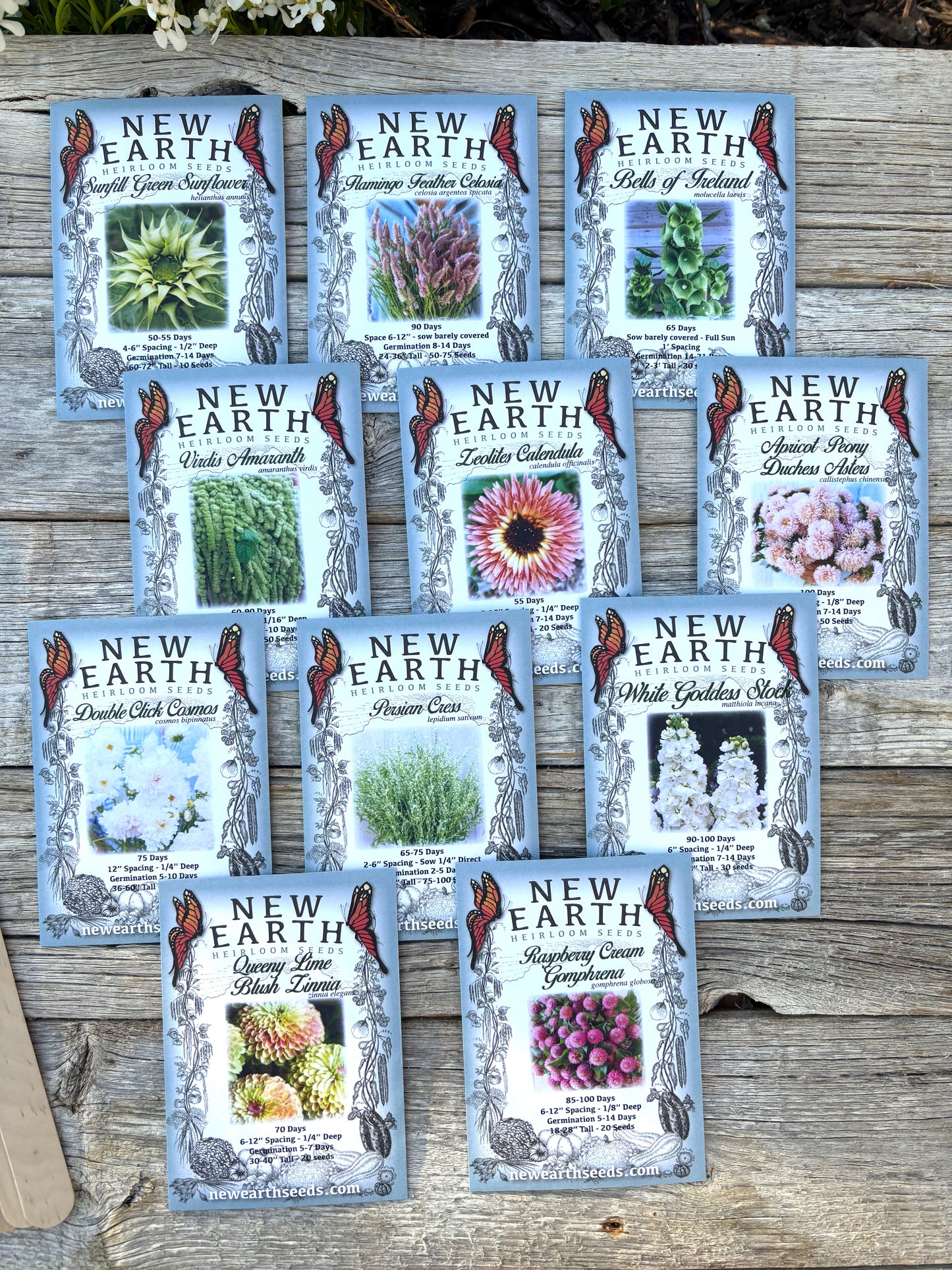 Cottage Bouquet Flower Seed Collection | Mother's Day Seed Gift Pack