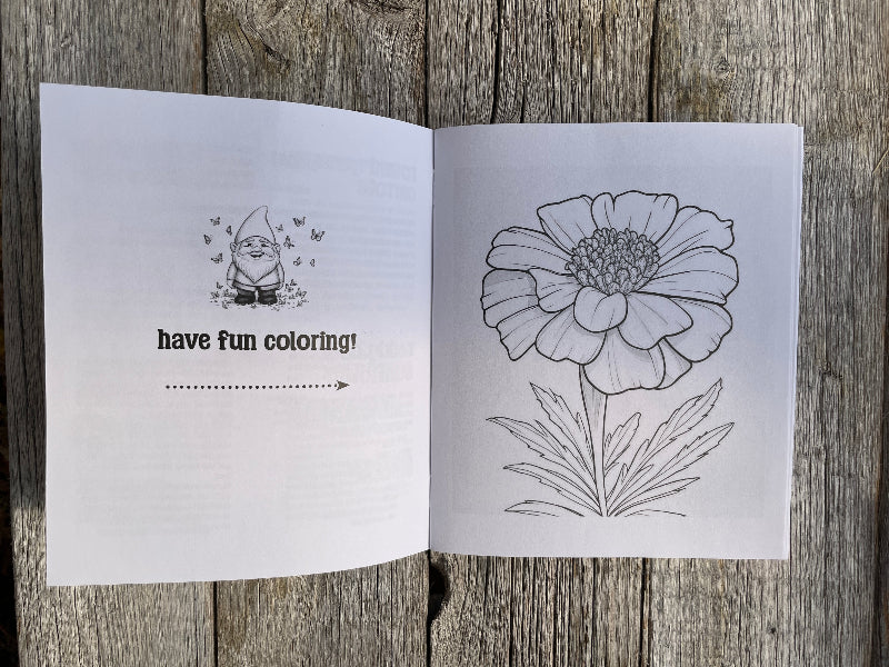 Kids Garden Starter Pack | Magical Garden Adventure| Young Gardeners