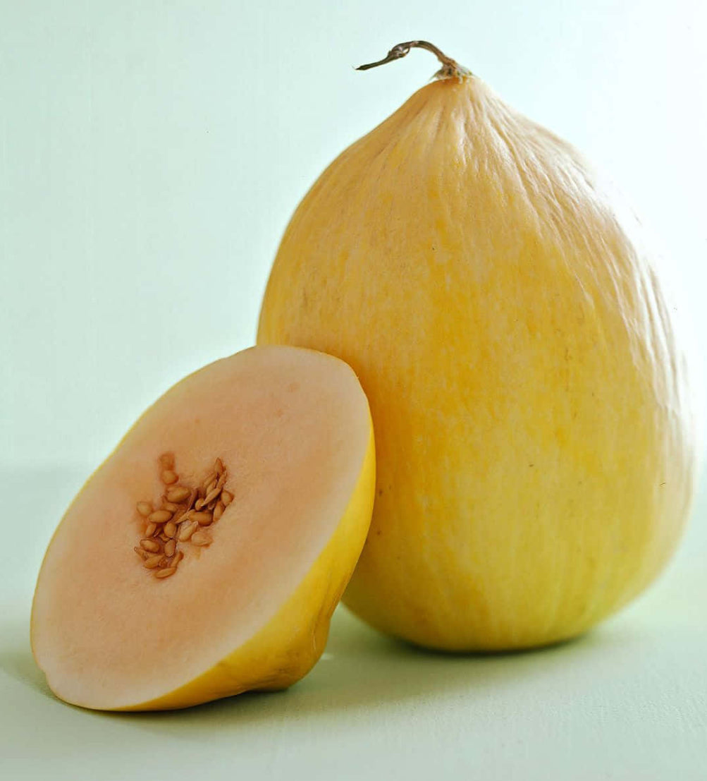 Casaba Melon