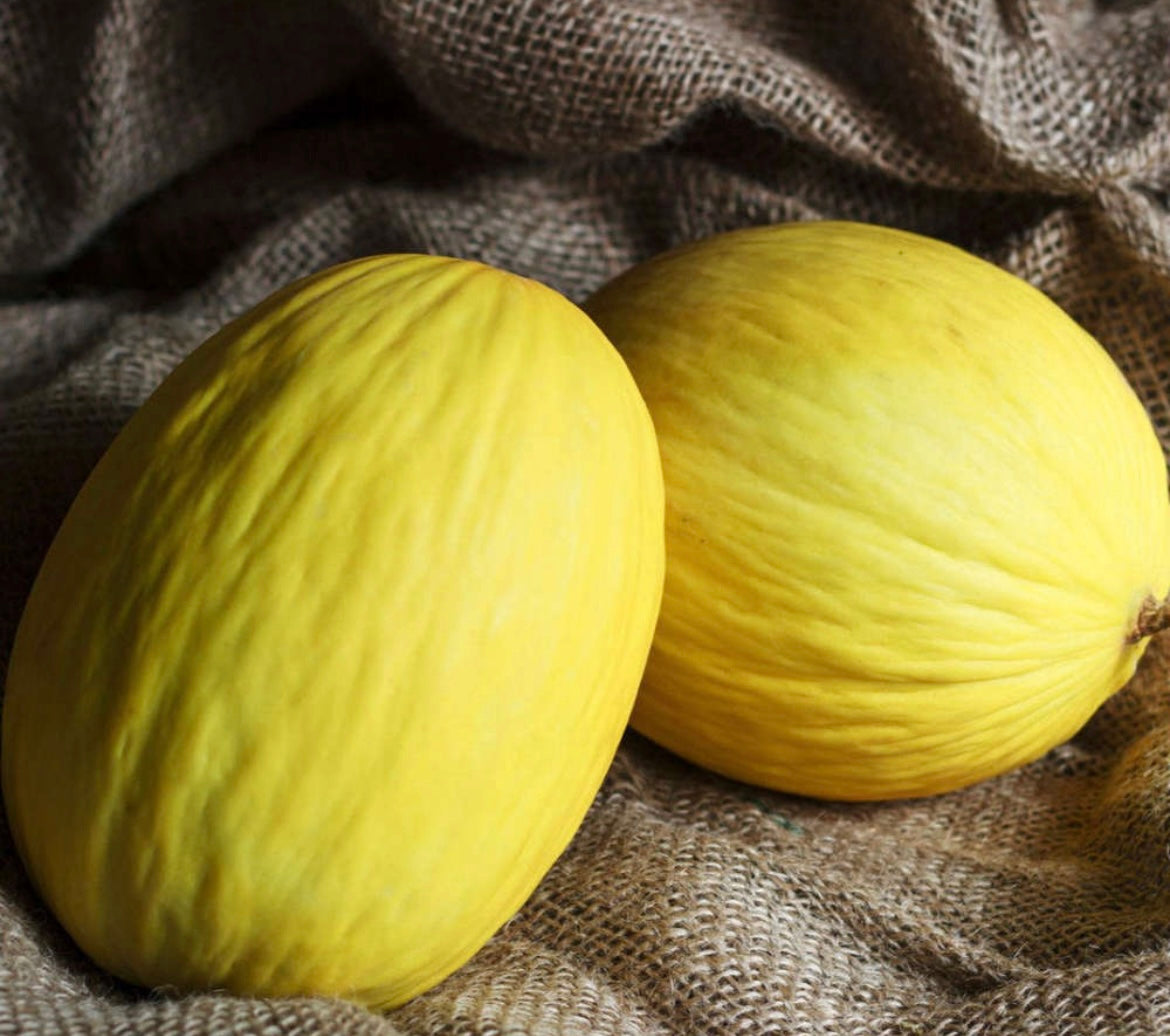 Crenshaw Melon | Heirloom Seeds | Superior Flavor