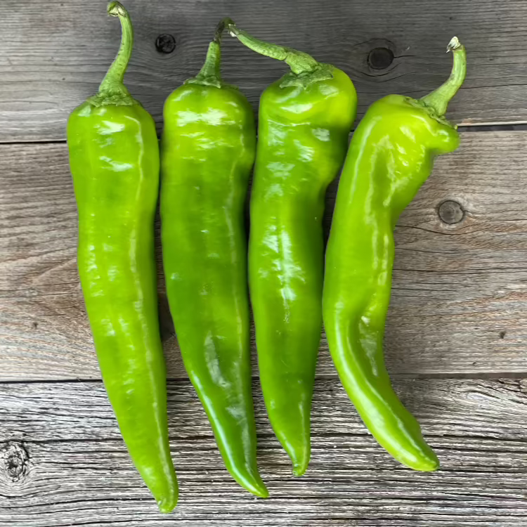 Anaheim Pepper Seeds