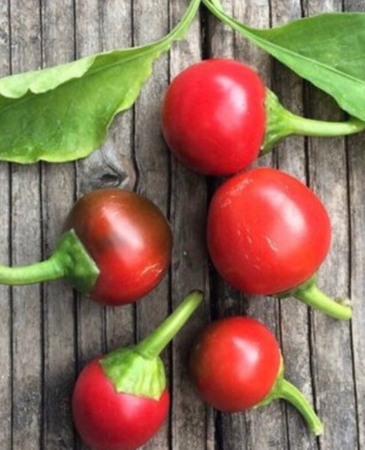 Hot Cherry Bomb Pepper