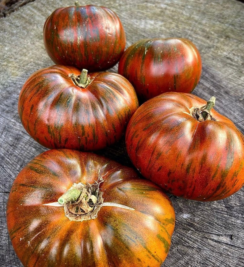 red striped Chocolate Stripes beefsteak tomatoes on a wooden table