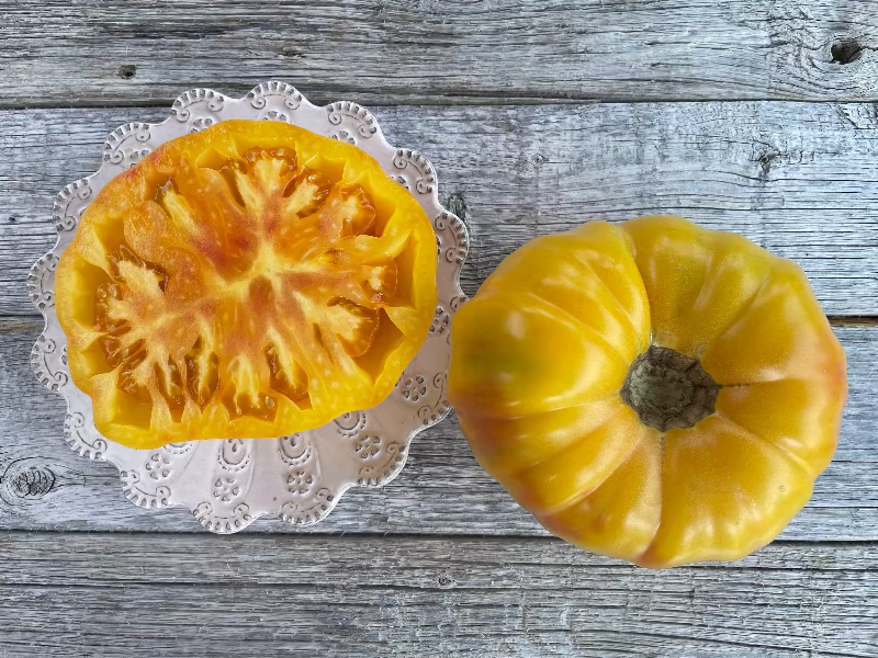 sliced hawaiian pineapple heirloom tomato seeds