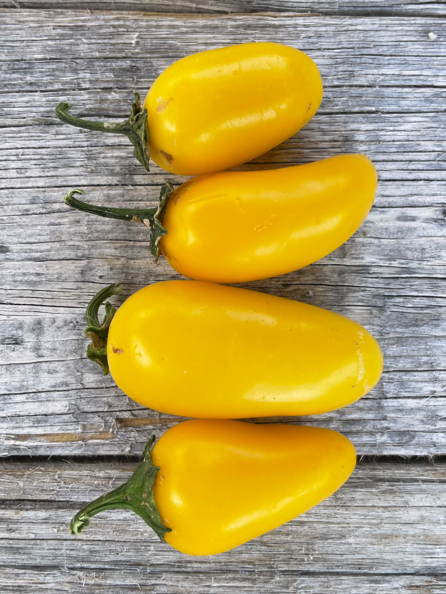 Lemon Spice Jalapeno