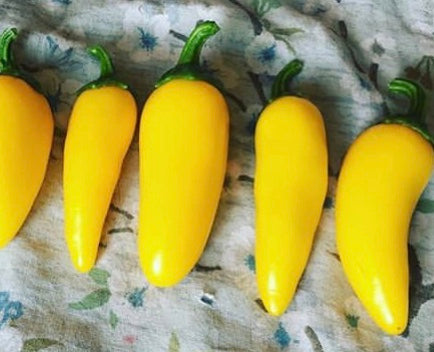 Lemon Spice Jalapeno