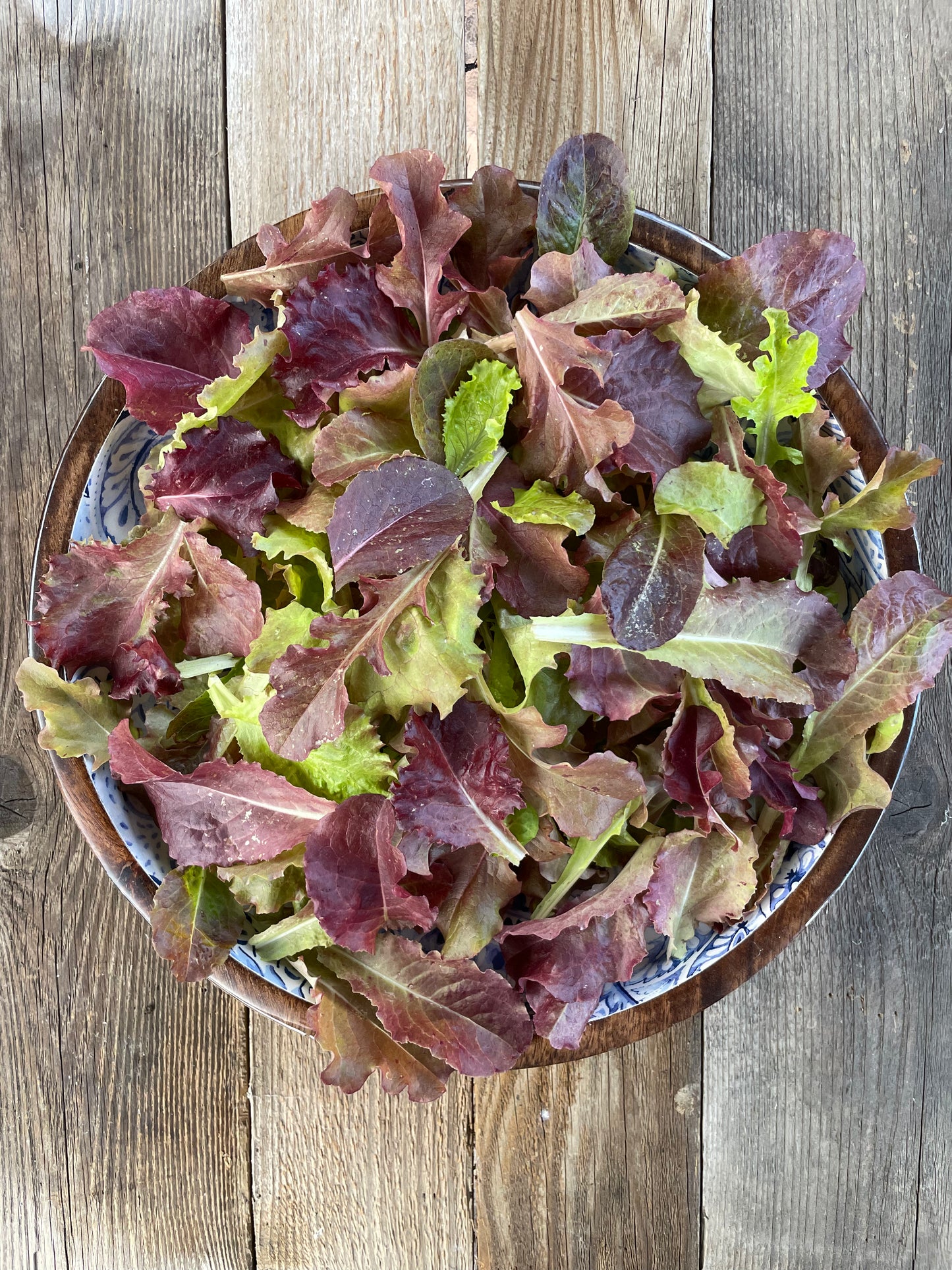 Ruby Reds Lettuce Mix