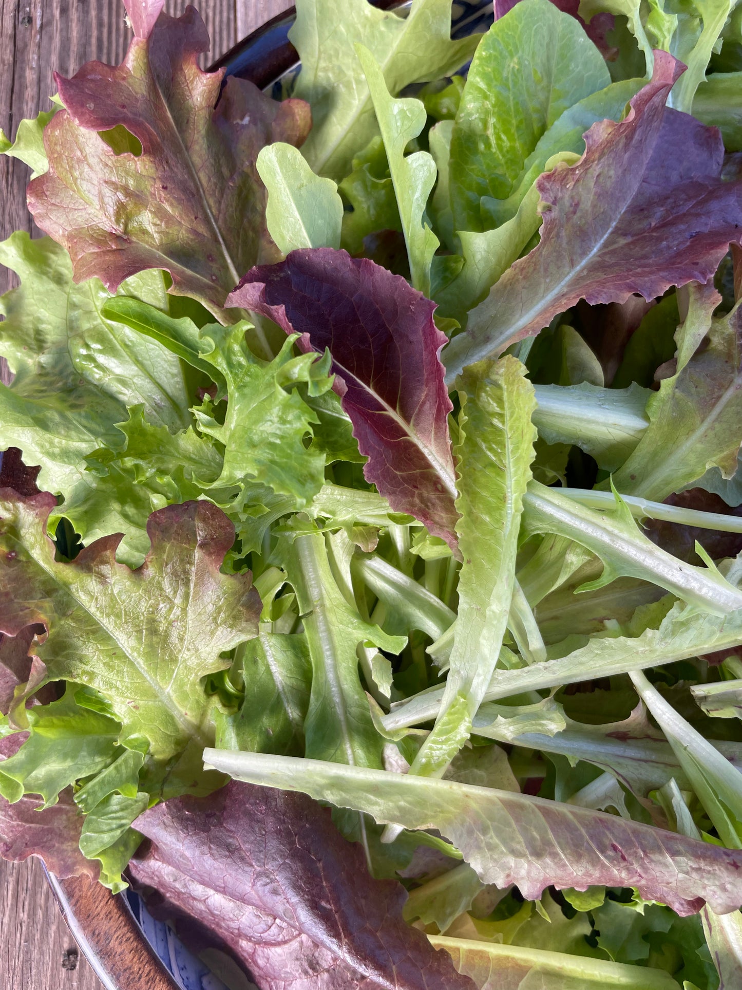 Grateful Gourmet Lettuce Mix