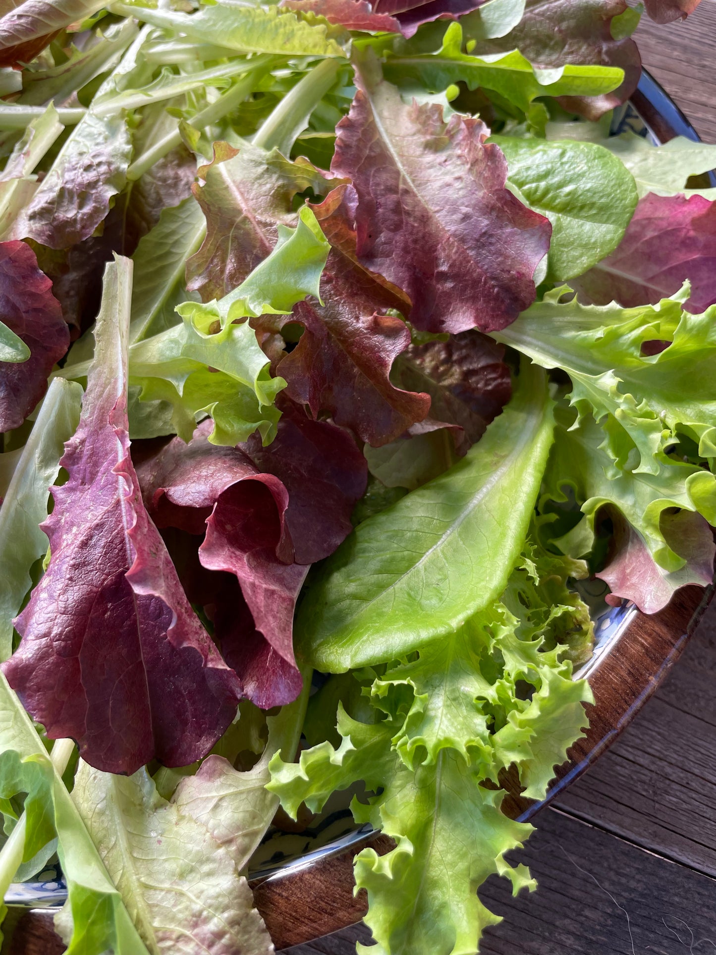 Grateful Gourmet Lettuce Mix