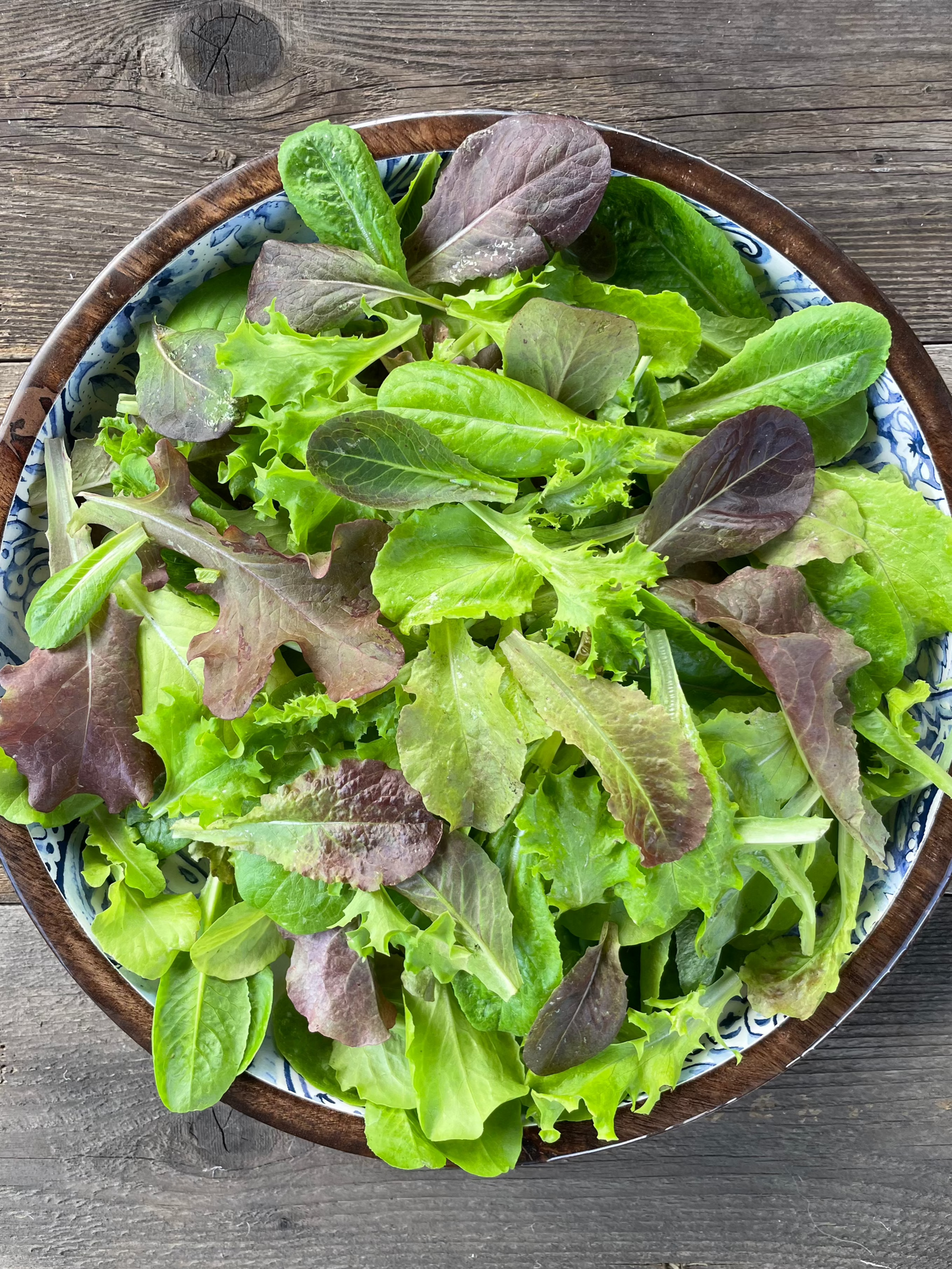 Heavenly Hardy Lettuce Mix