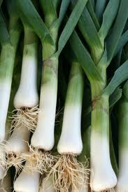 American Flag Leek Seeds