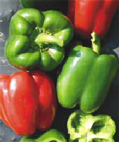 King of the North Bell Pepper Seeds