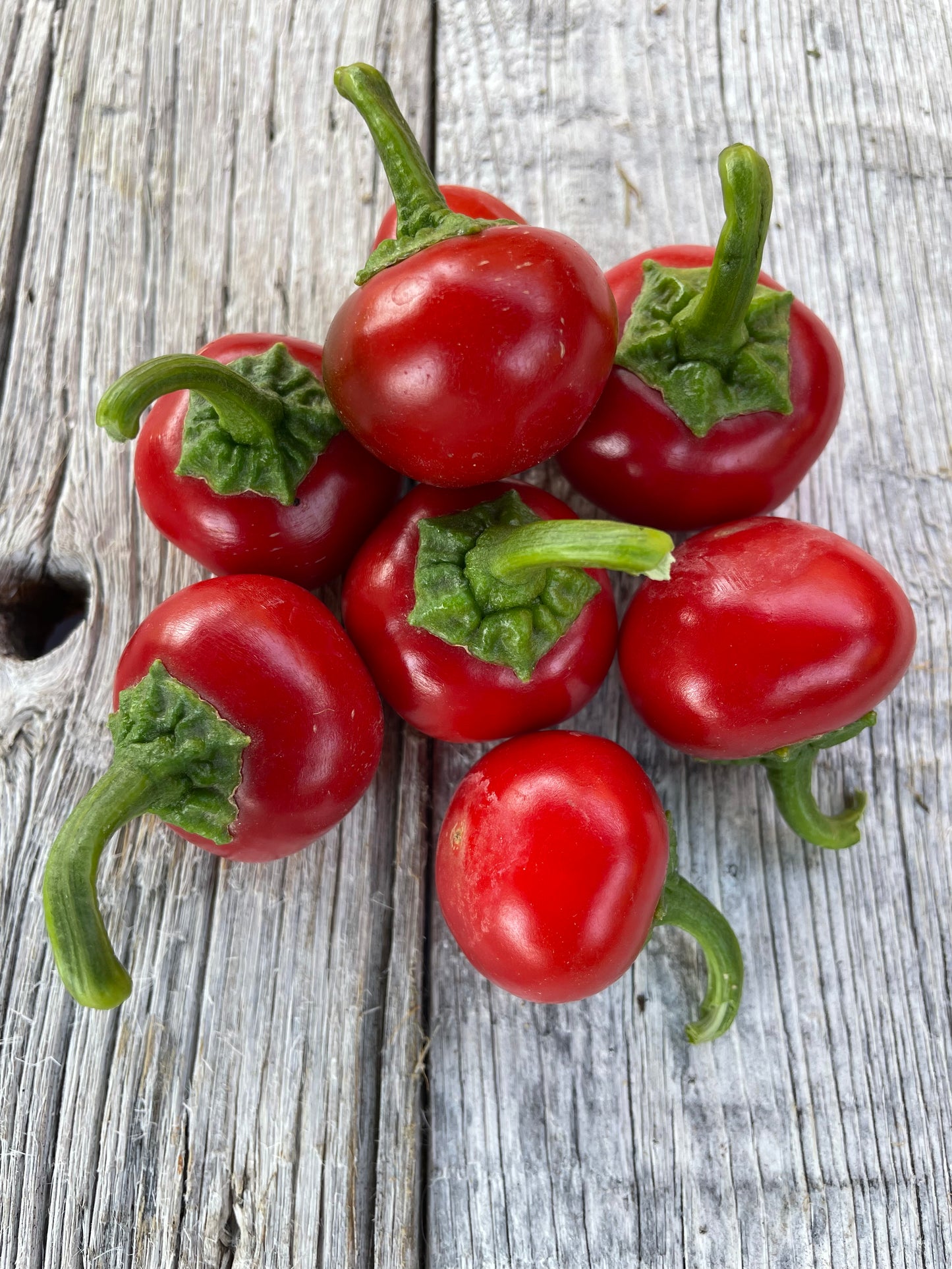 Sweet Cherry Bomb Pepper