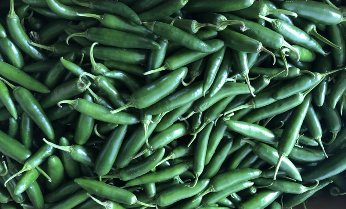 Serrano Pepper