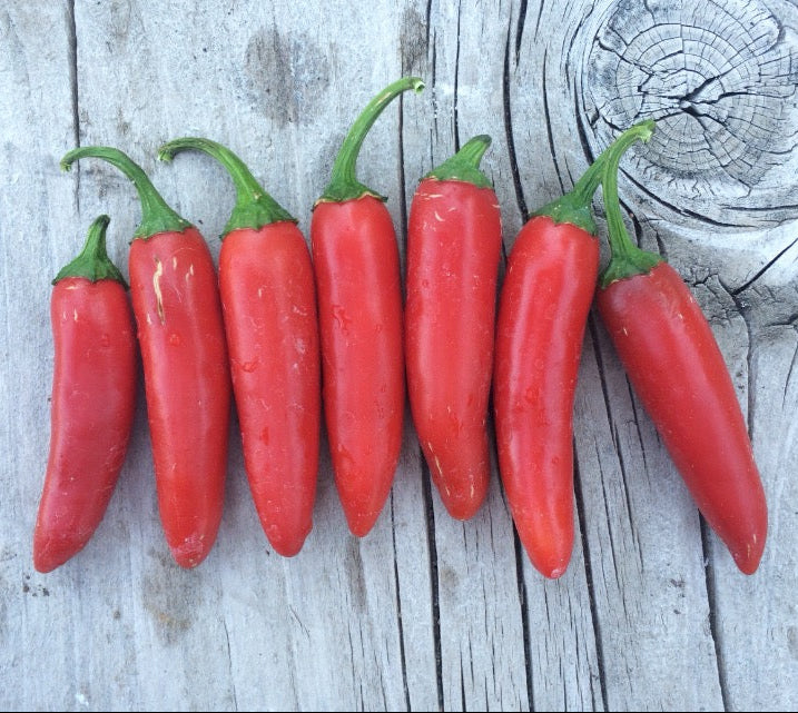 Serrano Pepper