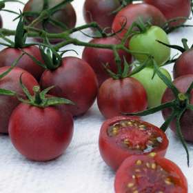 Amish Paste Tomato Seeds