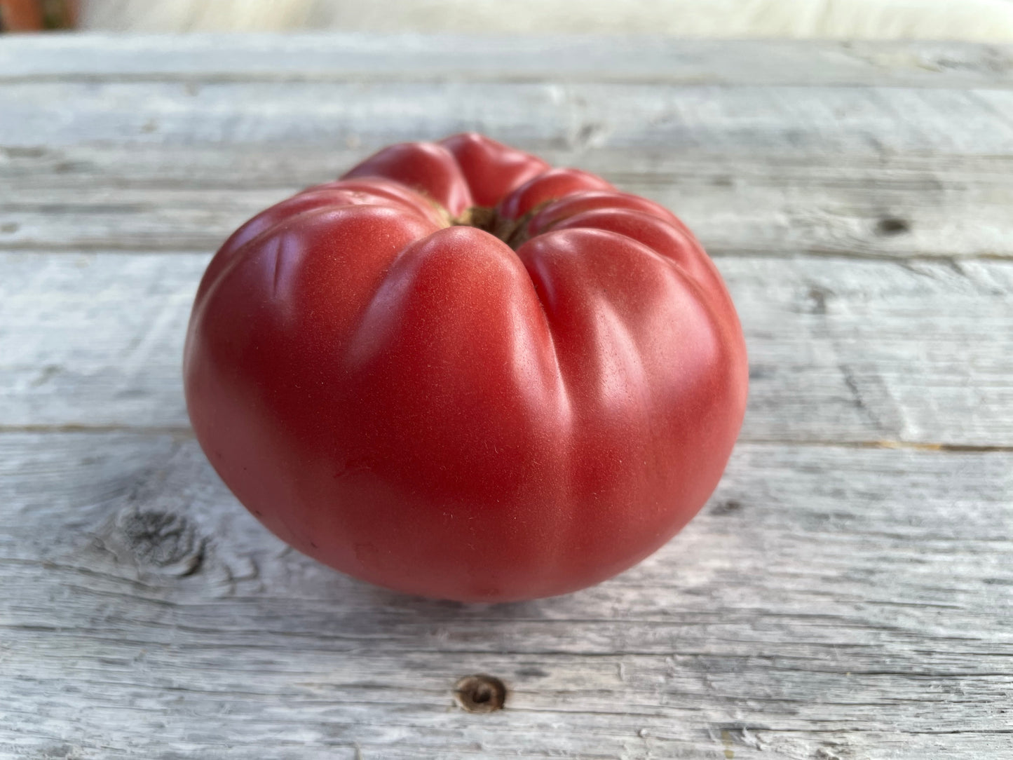 Dr Lyle's Beefsteak Tomato
