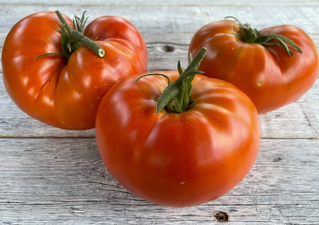 Neves Azorean Red Beefsteak Tomato