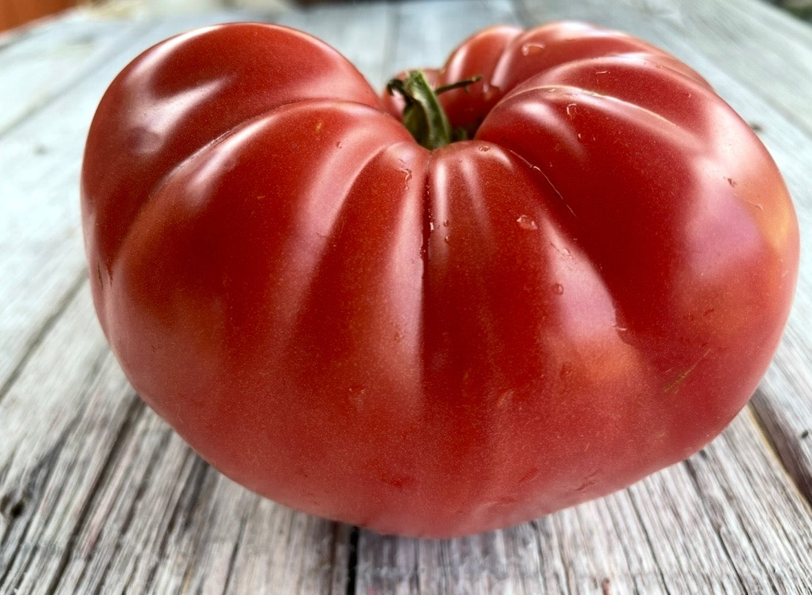 Neves Azorean Red Beefsteak Tomato