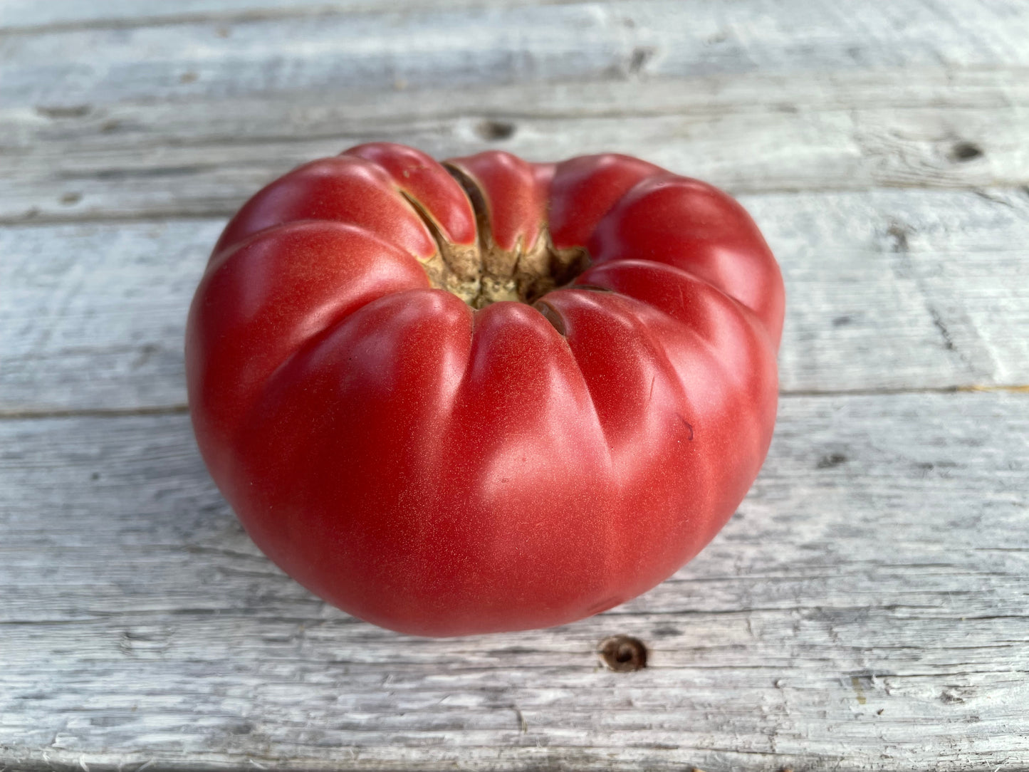 Dr Lyle's Beefsteak Tomato
