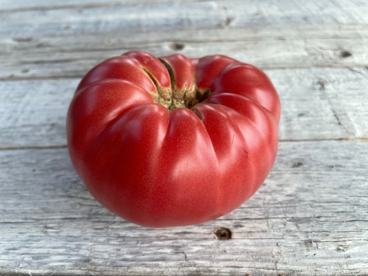 Dr Lyle's Beefsteak Tomato