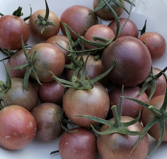 Amish Paste Tomato Seeds