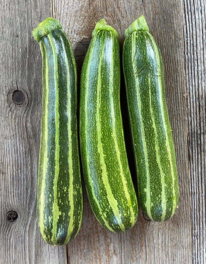 Cocozelle Zucchini
