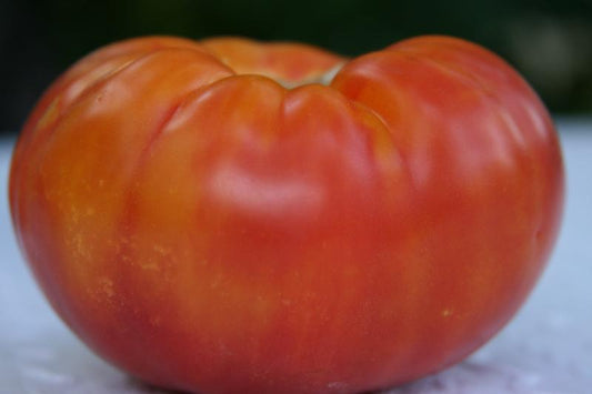 German Johnson Beefsteak Tomato seeds