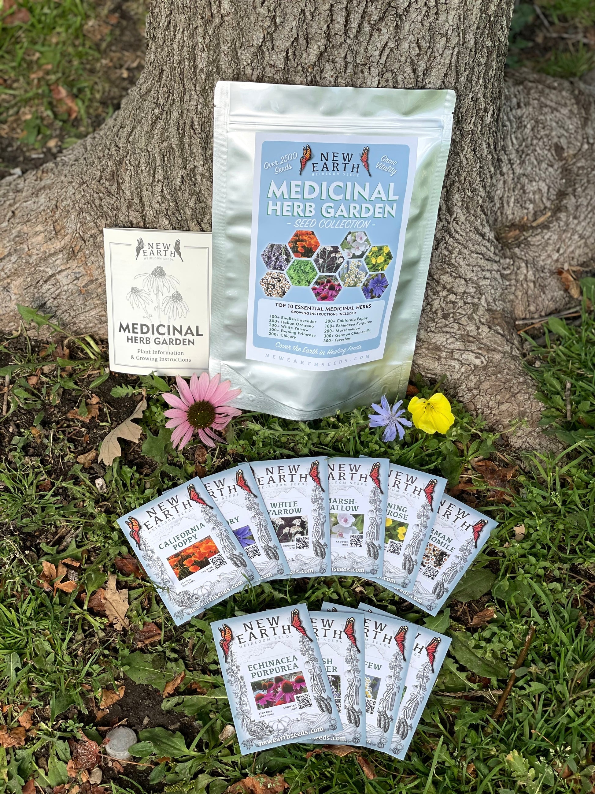 Medicinal Herb Seed Collection