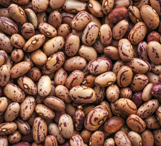 Pinto Beans Seeds