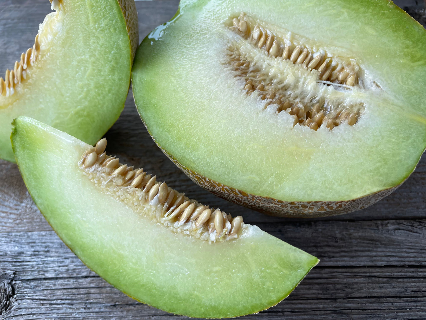 Honeydew Melon | Heirloom Seeds