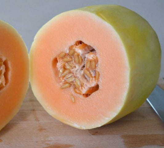 Crenshaw Melon | Heirloom Seeds | Superior Flavor