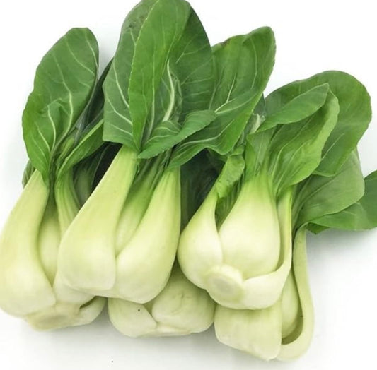 Baby Bok Choy Seeds