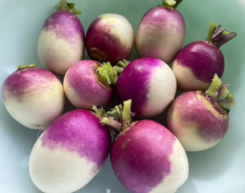 Purple Top Turnip Seeds