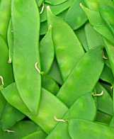 Mammoth Melting Snow Pea Seeds