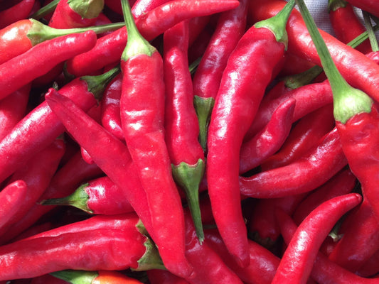 Jimmy Nardello Pepper