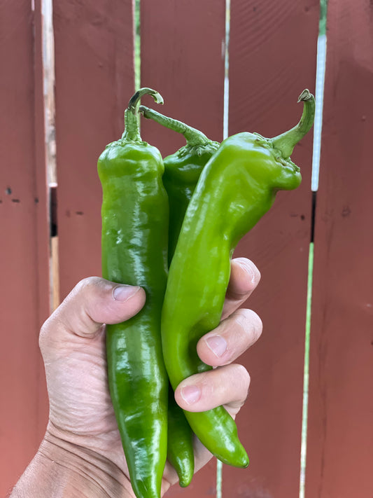 Medium Heat Pepper