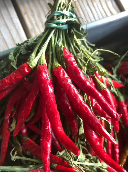 small red arbol chili peppers with green stems and leaves bunched together at top