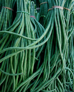 bunched green aparagus pole beans produced from seeds