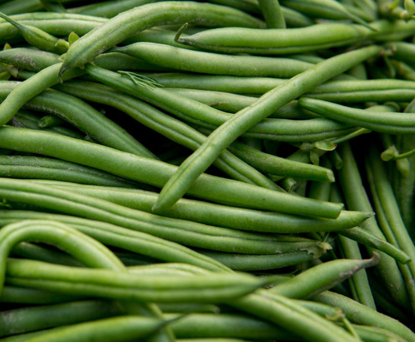 Kentucky Wonder Pole Beans