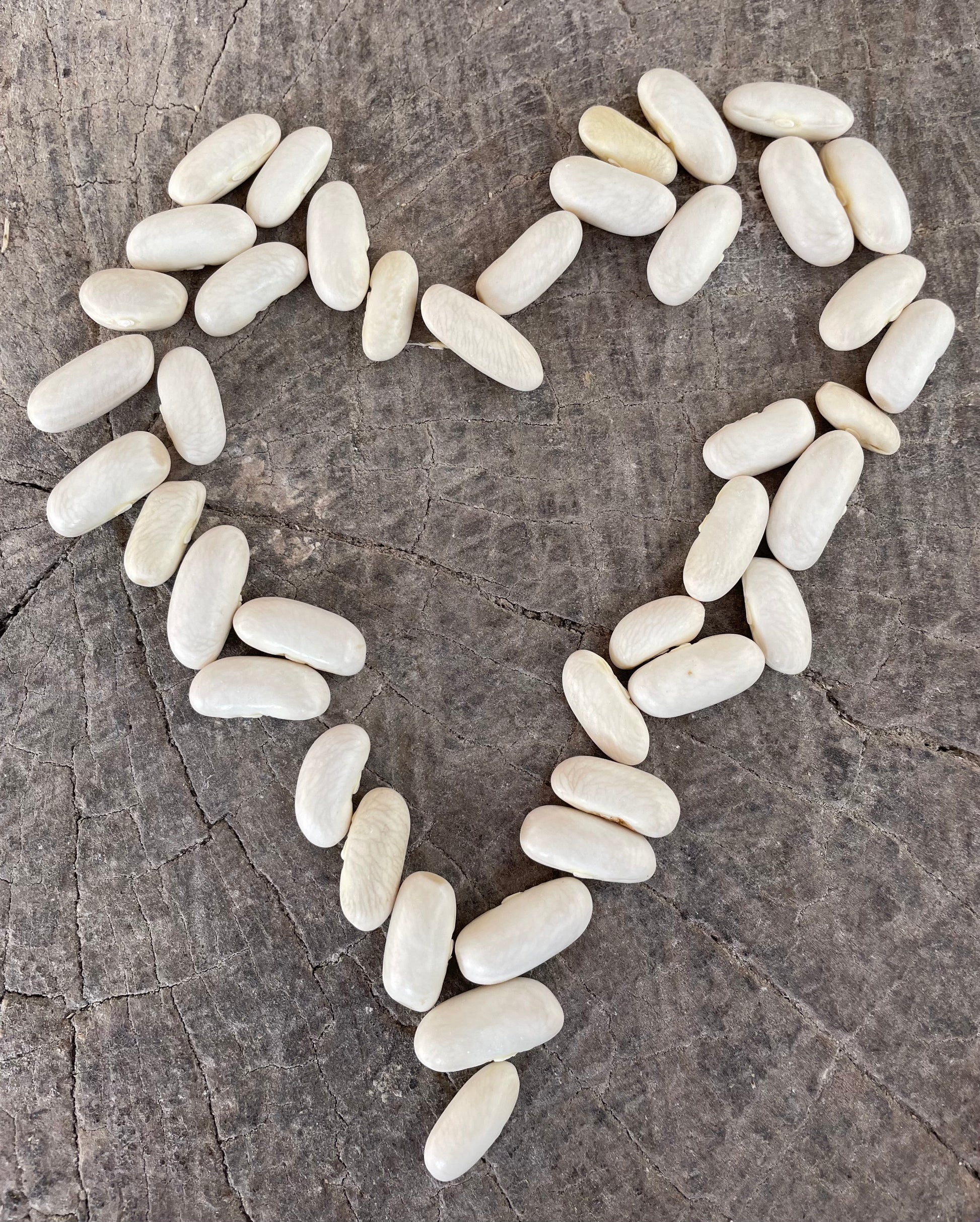 White cannellini bean seeds in a heart shape on a wooden background