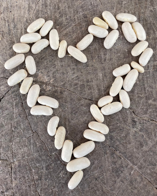 White cannellini bean seeds in a heart shape on a wooden background