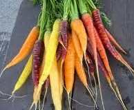 Rainbow Carrot Mix Seeds