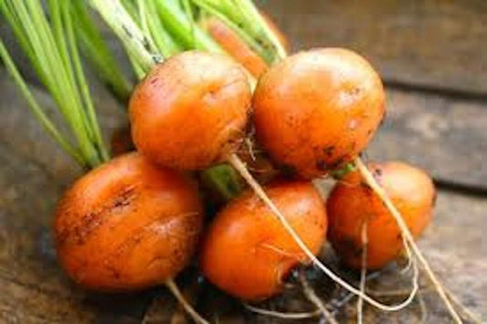 Parisienne (round) Carrot Seeds