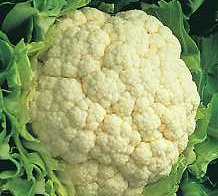 Snowball Cauliflower