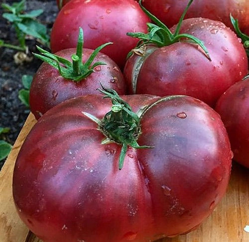 large dark red Cherokee purple tomatoes on a wooded table