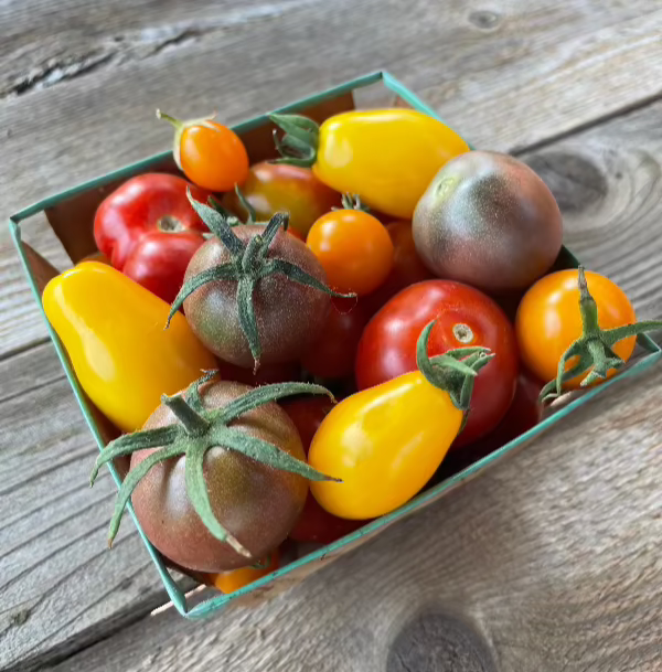 heirloom cherry tomato mix seeds