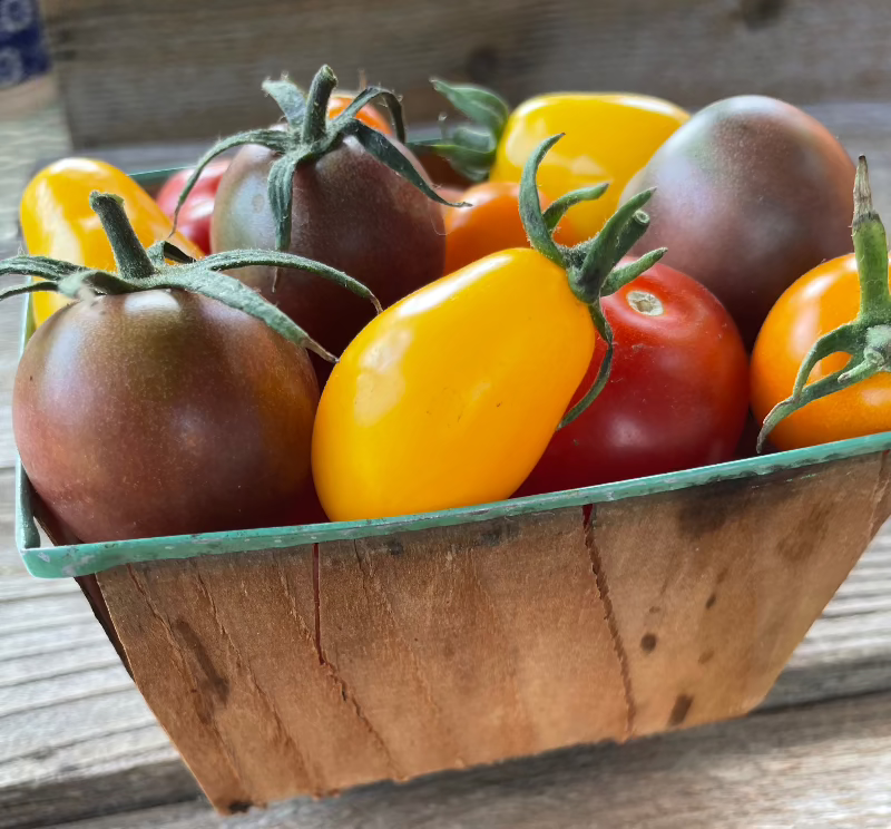 heirloom cherry tomato mix seeds